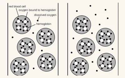 Exploring the Benefits of Mild Hyperbaric Oxygen Therapy for Health Conditions