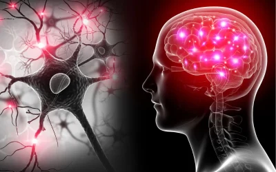 Hyperbaric Oxygen Therapy Can Induce Angiogenesis and Regeneration of Nerve Fibers in Traumatic Brain Injury Patients