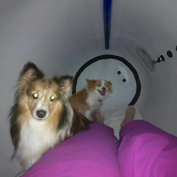 Newtowne hyperbaric chamber - White - Dogs - Interior