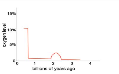 Did more oxygen and pressure in the pre-flood world have health benefits?