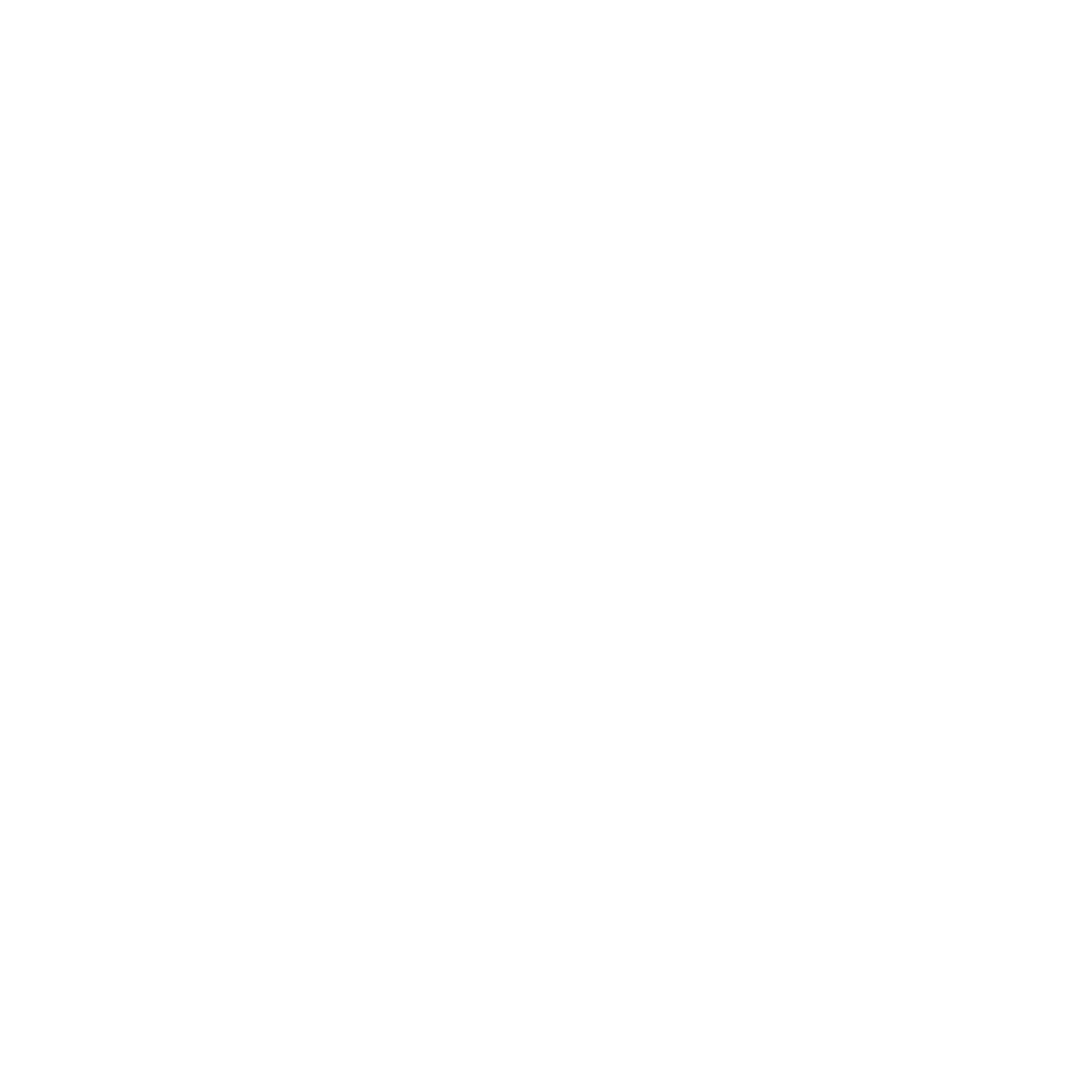 Safety Icon