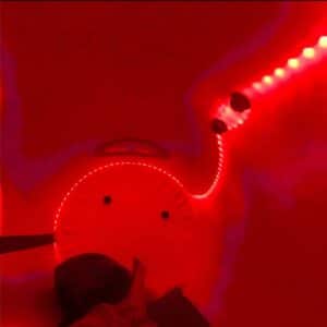 red inside